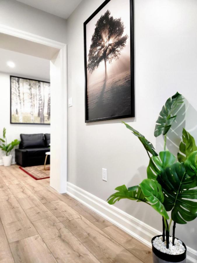 The Cozy Cove Modern King-Bedroom Full Apartment Sainte-Catherine Exterior foto